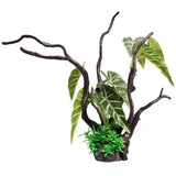 Aqua One Ecoscape Driftwood Ornament Philodendron - Amazing Amazon