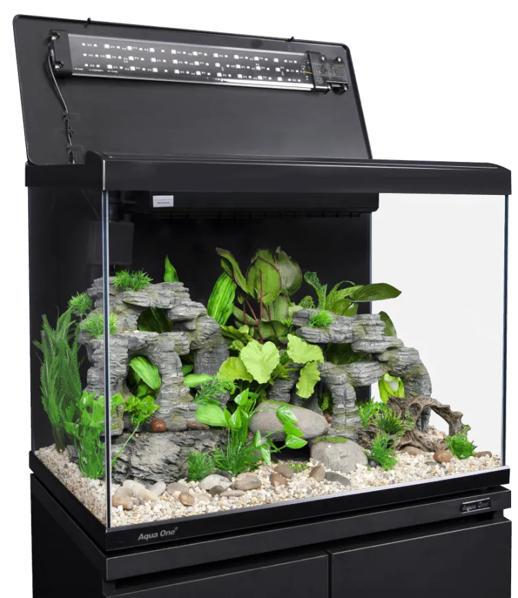 Aqua One Lifestyle Classic Complete Glass Aquarium - Amazing Amazon