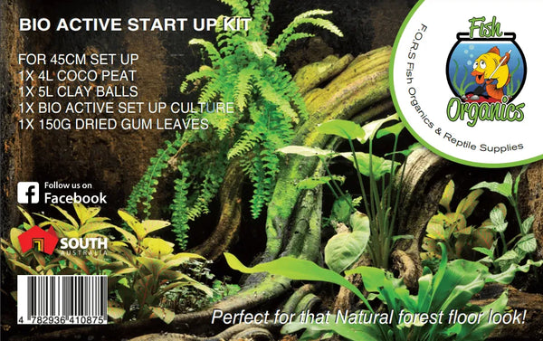 Bioactive terrarium kit store
