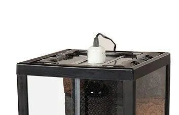 Budget Terrarium Medium - Amazing Amazon