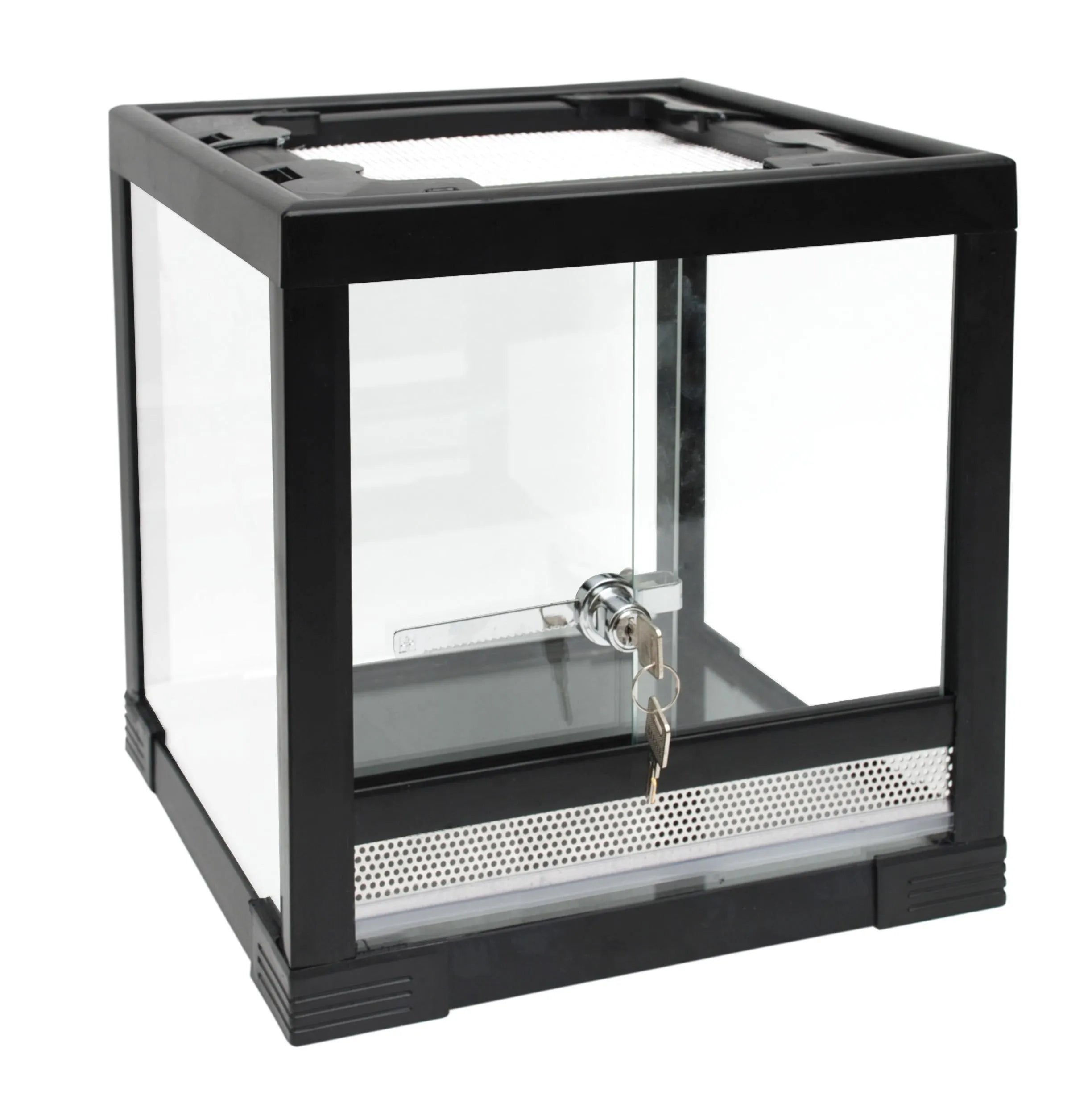 Budget Terrarium Small - Amazing Amazon