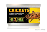 Exo Terra Canned Crickets - Amazing Amazon