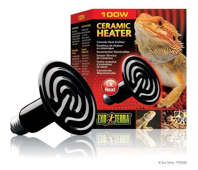 Exo terra night shop heat lamp 100w