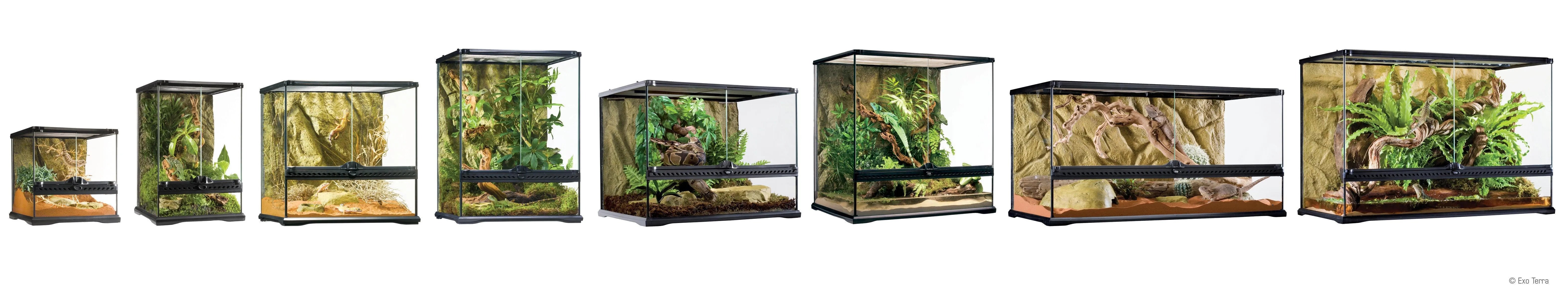 Exo Terra Glass Terrariums - Amazing Amazon