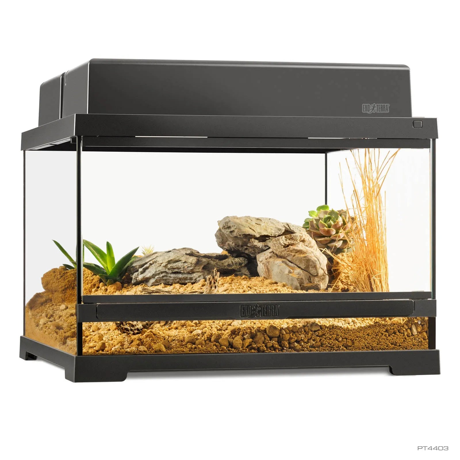Exo Terra Pro Terrarium Small Low 45x45x30cm - Amazing Amazon