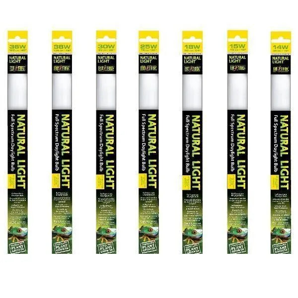 Exo Terra Repti Glo 2.0 Natural Light 60cm - Amazing Amazon