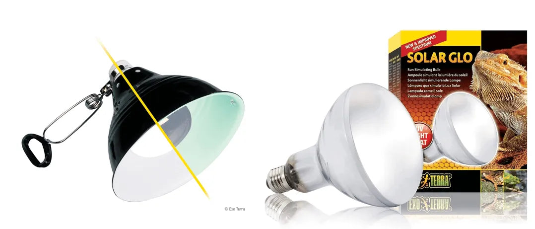 Sun clearance simulating light