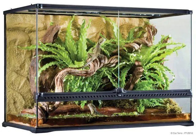 Exo Terra Terrarium 90cm x 45cm x 60cm - Amazing Amazon