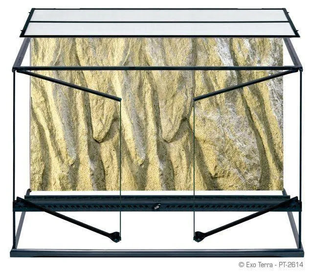 Exo Terra Terrarium 90cm x 45cm x 60cm - Amazing Amazon