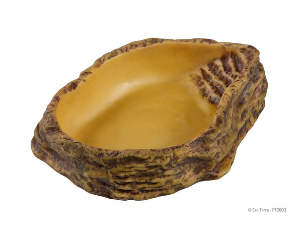 Exo Terra Water Food Dish Large Amazing Amazon