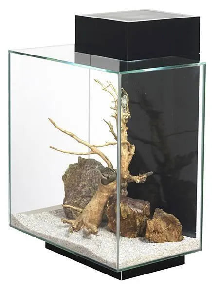 Fluval Edge 2.0 Large Tall Black Aquarium 46l - Amazing Amazon