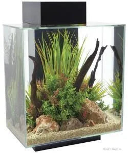 Fluval Edge 2.0 Large Tall Black Aquarium 46l - Amazing Amazon