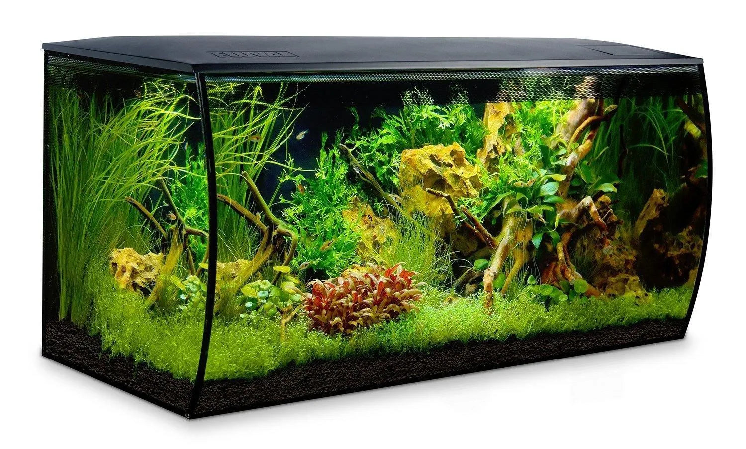 Fluval Flex Aquarium Kit 123 Litre Black - Amazing Amazon