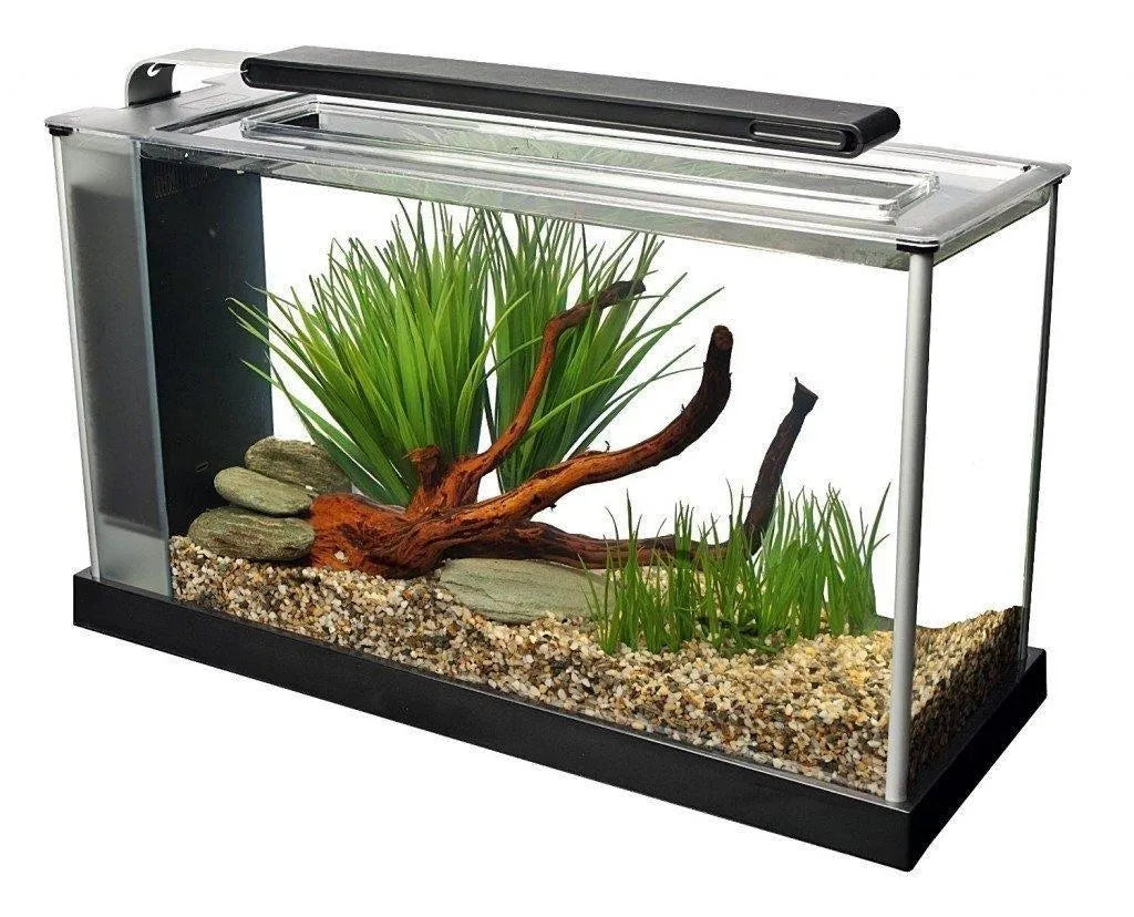 Fluval Spec 5 Aquarium 19L Black (New Model) - Amazing Amazon