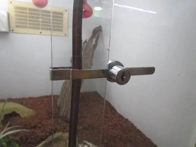 Glass Lock - Amazing Amazon
