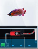 Inline Aquarium Heater Professional 1000w - Amazing Amazon