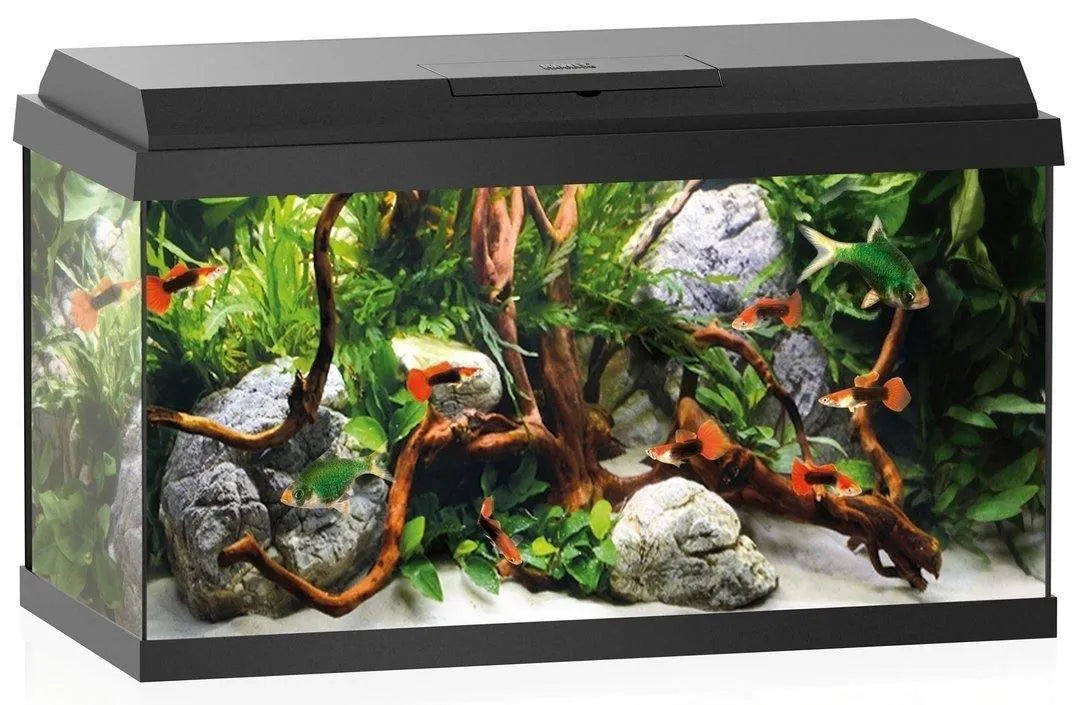 Juwel Primo Line 70 LED Aquarium - Amazing Amazon
