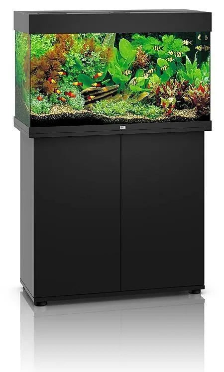Juwel Rio 125 LED Aquarium Only - Amazing Amazon