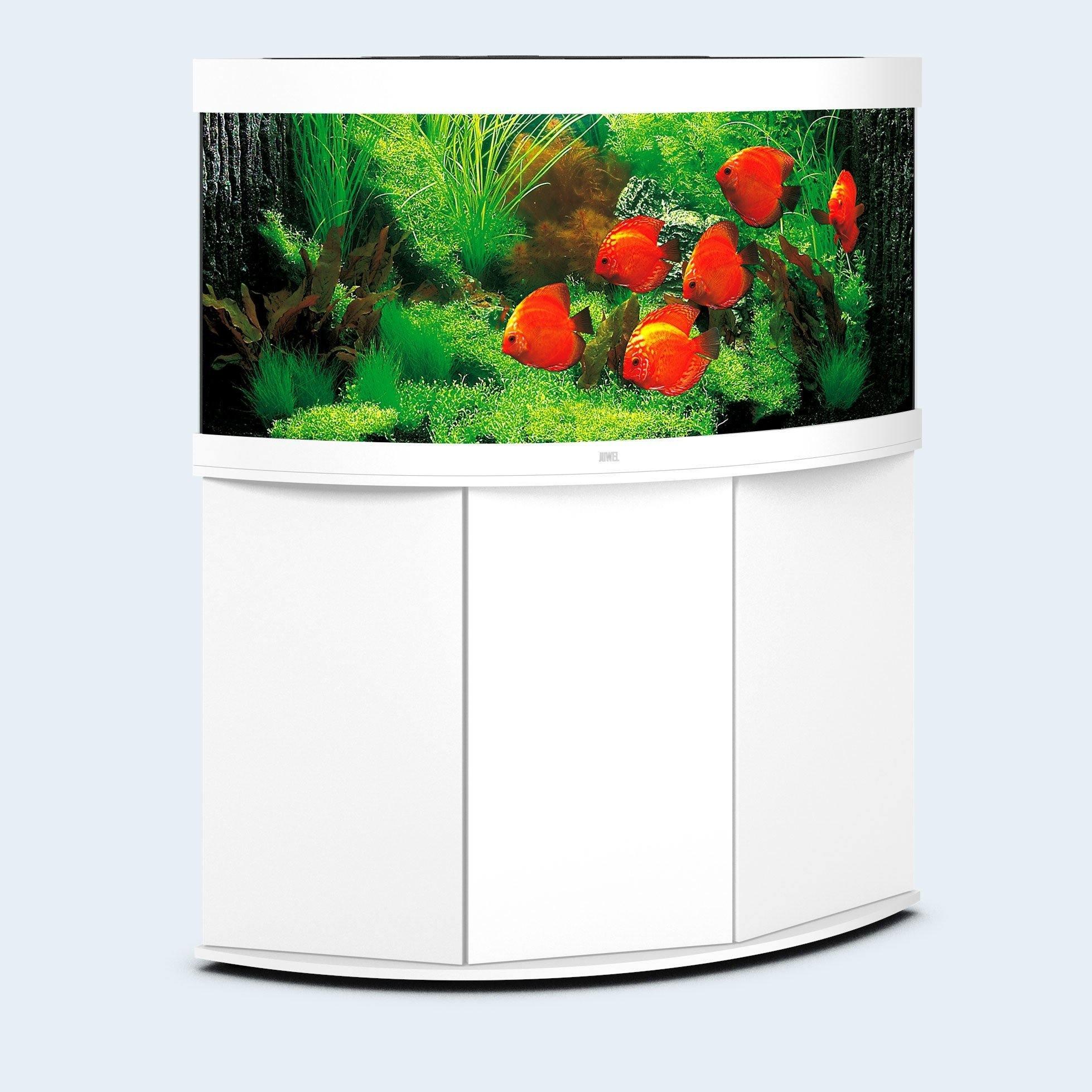 skade bevæge sig pop Juwel Trigon 190 LED Corner Aquarium and Cabinet | Aquarium and Reptiles