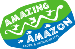 logo_1 - Amazing Amazon