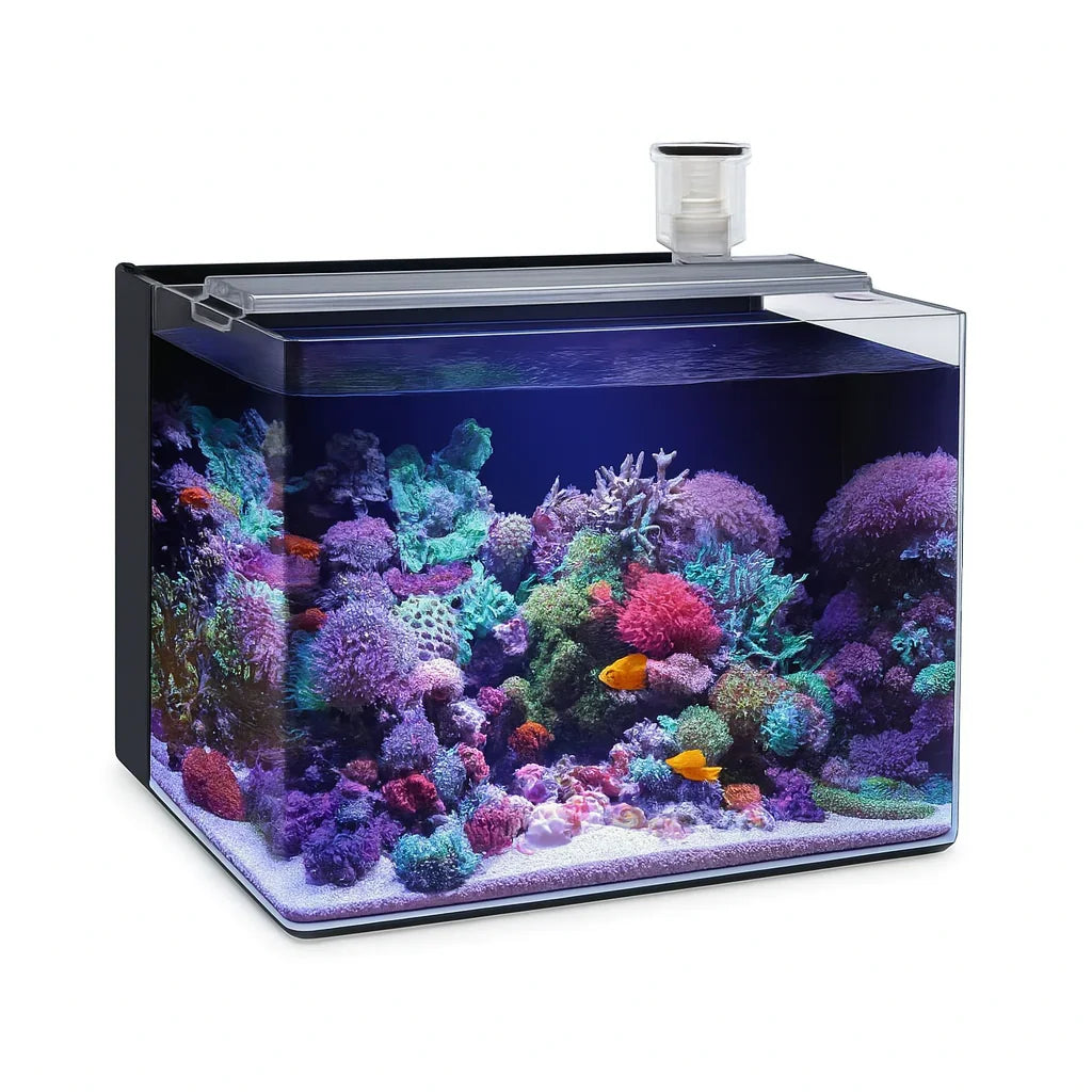 Ocean Free Nano Marine Tank 64 Litre - Amazing Amazon