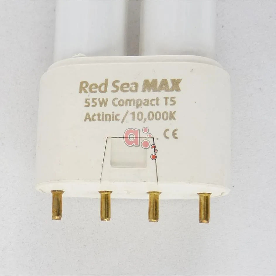 Red Sea Max 130D Replacement Globe - Amazing Amazon