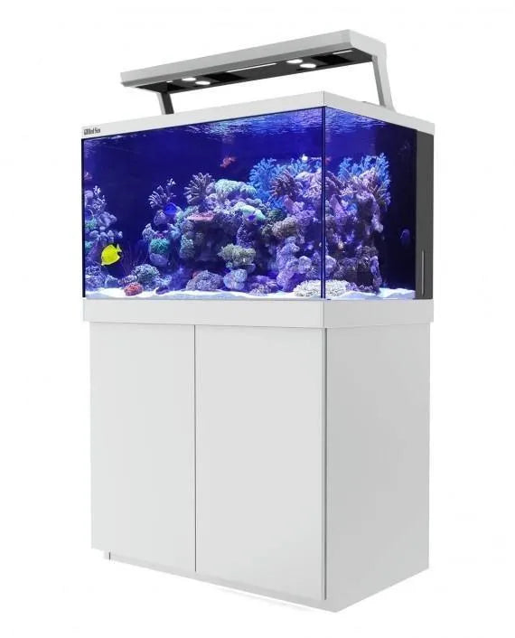 Red Sea Max S Series LED 500 Aquarium Black - Amazing Amazon
