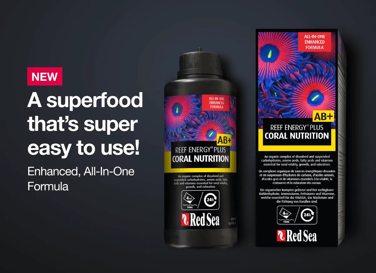 Red Sea Reef Energy AB Plus 250ml - Amazing Amazon