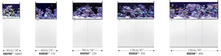 Red Sea Reefer G2+ 170 Marine Aquarium - Amazing Amazon