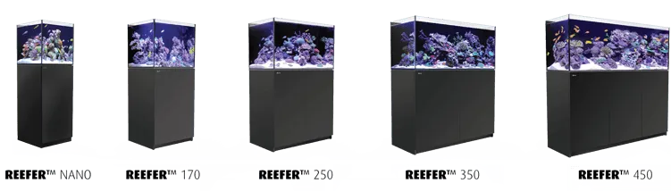 Red Sea Reefer G2+ 170 Marine Aquarium - Amazing Amazon