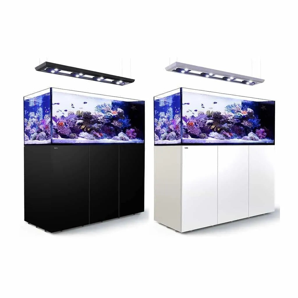 Red Sea Reefer Peninsula P650 Deluxe 650 Litre Aquarium White - Amazing Amazon