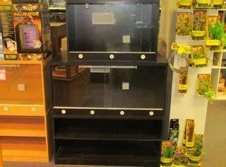 Reptile Enclosures Melamine Black - Amazing Amazon