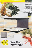 Reptile One Hatchling Box/Kit - Amazing Amazon