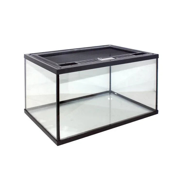 Spider Terrarium Cage Enclosure Set Up Kit - Amazing Amazon