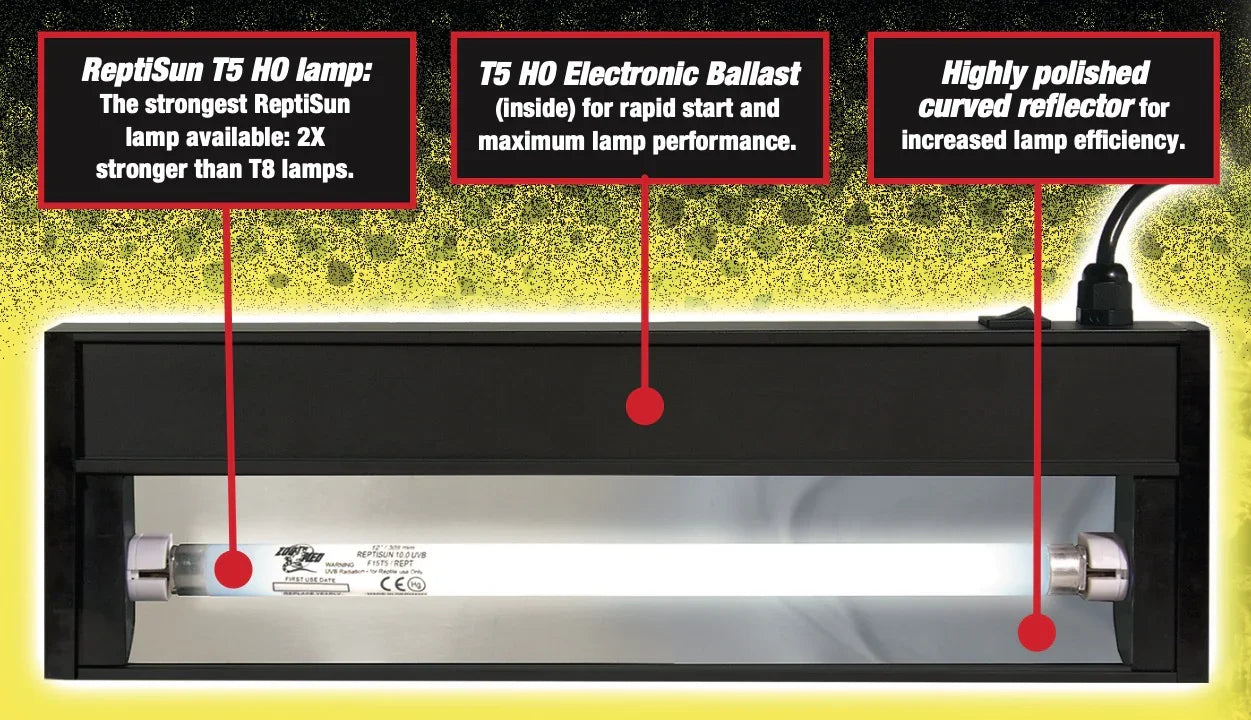 Zoo Med Reptisun T5 HO Terrarium Hood High Output 60cm (24W) - Amazing Amazon