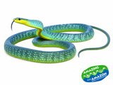Blue Green Tree Snakes