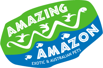Amazing_Amazon_logo - Amazing Amazon