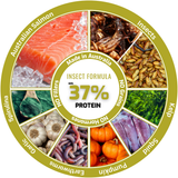 Circular infographic of insect-based reptile food ingredients including salmon, insects, and kelp.