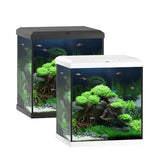 Modern aquarium fish tanks in black and white, with lush plants and colorful fish.