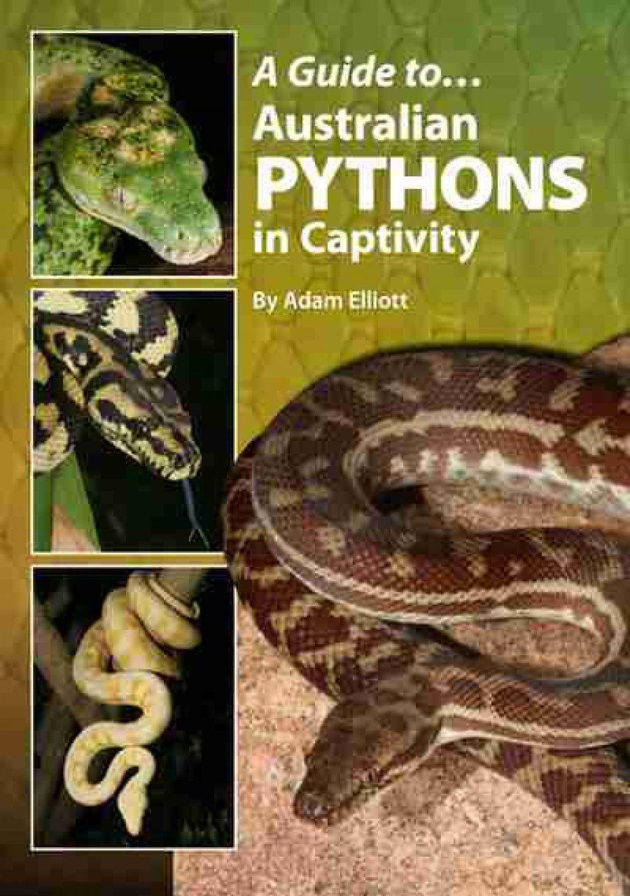A Guide to Australian Pythons in Captivity Book - Amazing Amazon