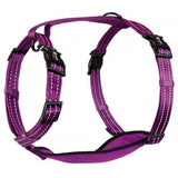 Alcott Adventure Nylon Dog Harness Set - Amazing Amazon
