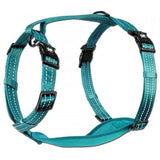 Alcott Adventure Nylon Dog Harness Set - Amazing Amazon
