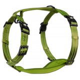 Alcott Adventure Nylon Dog Harness Set - Amazing Amazon