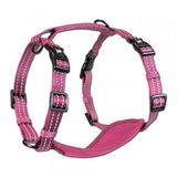 Alcott Adventure Nylon Dog Harness Set - Amazing Amazon