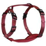 Alcott Adventure Nylon Dog Harness Set - Amazing Amazon