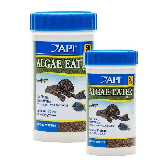 API Algae Eater Wafers - Amazing Amazon