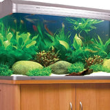 Aqua One Aquarium/FishTanks - Amazing Amazon