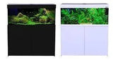 Aqua One Aquatica 240 Aquarium - Amazing Amazon