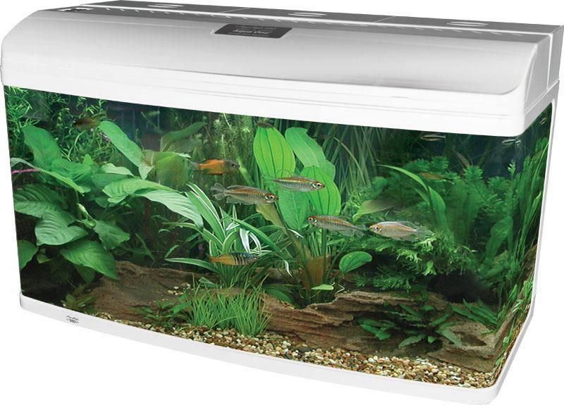 Aqua One AR 620 White Aquarium With Cabinet - Amazing Amazon