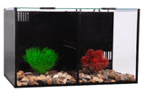 Aqua One Betta Condo Duo with Heater and Filter - Amazing Amazon